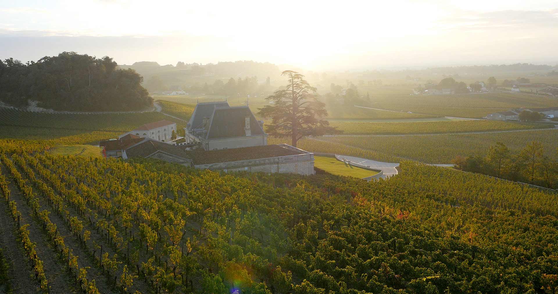 CHATEAU FONTPLEGADE