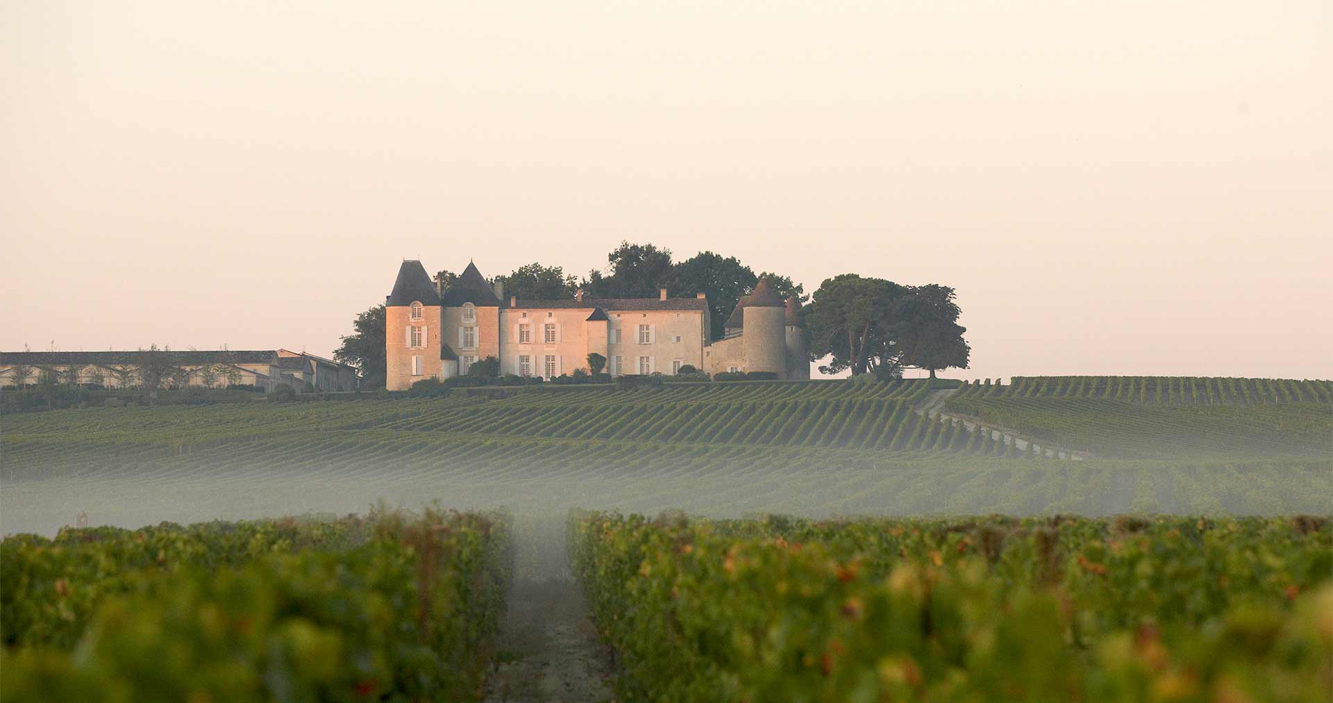 PHOTOGRAPHIE-ViGNOBLE